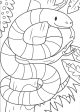 Cool Animals Colouring Book Discount